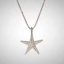 Medium Silver Starfish
